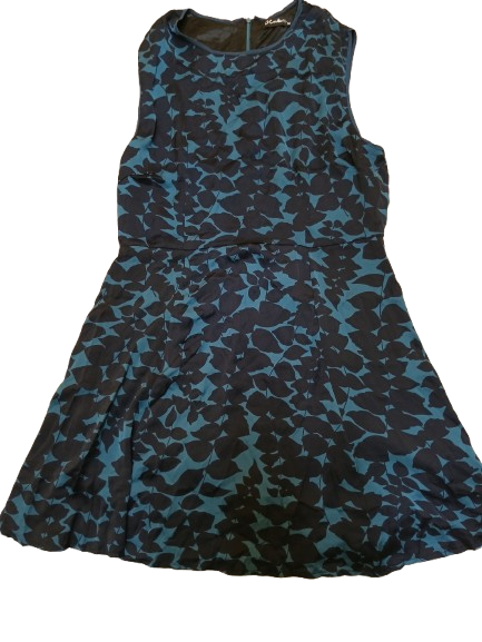 Blue and Black Dress